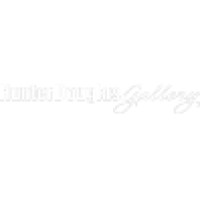 Blinds and Designs Logo