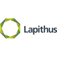 Lapithus Management Logo