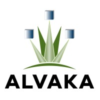 Alvaka - 24x7 and 100% US based personnel Logo