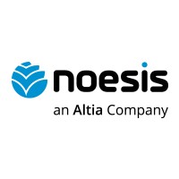 Noesis Logo