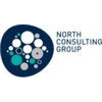 Nnorth Consulting Logo