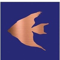 Copperfish Aquatics Logo
