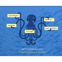Jet Octopus Website Crawler Logo