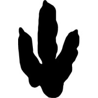 Dinosaur State Park Logo