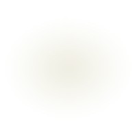 Rhonda Sacks Interiors Logo