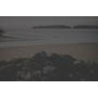 Qaf Investments Logo