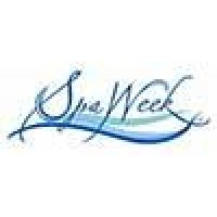 New Image Skin Spa Logo