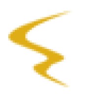 Twins Limousine Logo