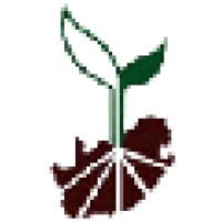 Bark Enterprises Logo