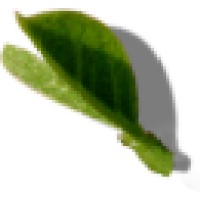 Africas Potential Logo