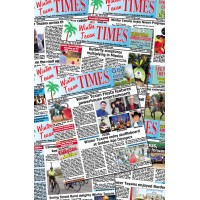 Winter Texan Times Logo