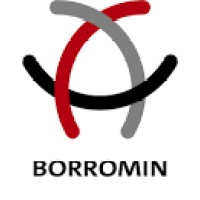 Borromin Capital Management GmbH Logo
