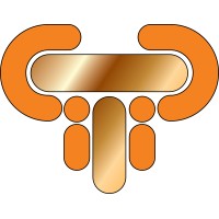 PTP Bilişim ve Danışmanlık Ticaret Limited Şirketi Logo