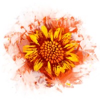 SunHeart Business Leaders Logo