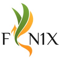 FN1X Limited Logo