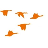 SyncPoint s.r.l. Logo