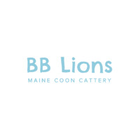 BB Lions - Maine Coon Cattery Logo