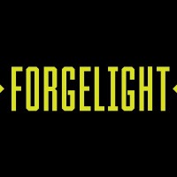 ForgeLight, LLC Logo