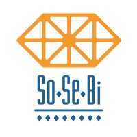 SoSeBi srl Logo