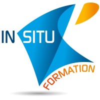 IN SITU Formation Logo