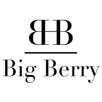 Agence Big Berry Logo