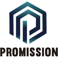 ProMission FZ LLC Logo