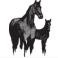 Thomas Clark Bloodstock, LLC Logo