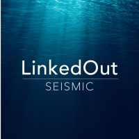 LinkedOut AS Logo