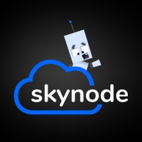 Skynode Logo