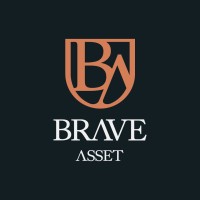 Brave Asset Logo