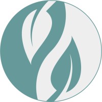 Salufast Logo
