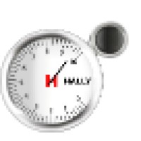 Hally Auto Spare Parts LLC Logo