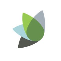 Poplar Ventures Logo