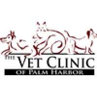 Vet Clinic Of Palm Harbor Logo