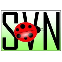 Svn Depoculuk Ltd Şti Logo