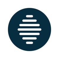 The Options Hive Logo