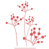 Laboratory for Research in Complex Systems Logo