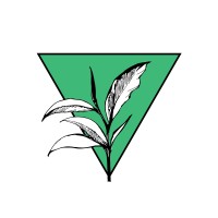 Eugene Tea Festival Logo