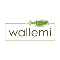 Wallemi Logo