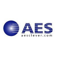 Applied Expert Systems LLC Logo