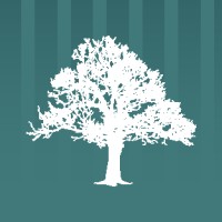 Capital Values Desarrolladora Logo