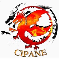 CIPANE Cyber Security Consultants Ltd Logo