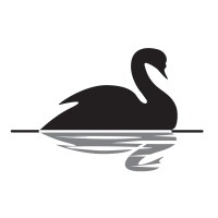 Black Swan Consultancy New Zealand Logo