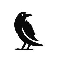 Raven Code Limited Logo