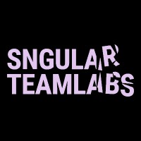 Sngular TeamLabs Logo