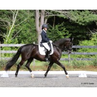 Jordan Rothman Dressage, LLC Logo