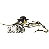 Rider High School Logo