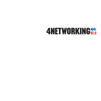 4N Online Logo