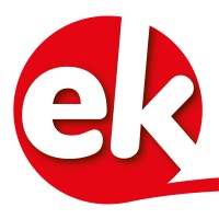 Edistik S.r.l. Logo