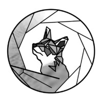 Foxposure Logo